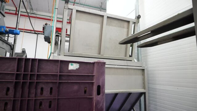 Automatic fruit washing machine. Food factory catering.