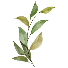 Watercolor flower frame