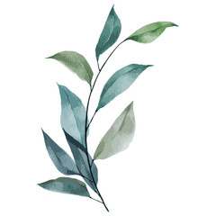 Naklejka premium Watercolor flower frame