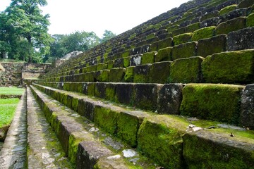 Naklejka premium View of Quirigua archaeological site in Guatemala