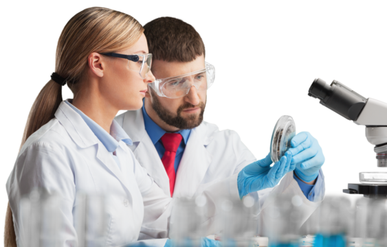 Attractive young female scientist and her male supervisor looking at the cell colony