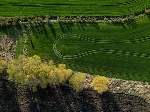 early sprouting trees and blooming cherries controls agricultural activity and grain quality. ruts from a tractor and counting the condition of game in the forest using a drone flying above the ground - Powered by Adobe