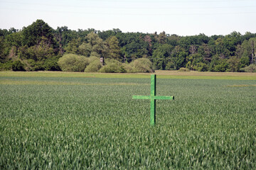 Gruenes Kreuz auf einem Feld