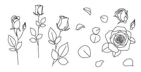 Set of one line drawing. Decorative rose with bud and petal. Hand drawn floral elements for tattoo or sticker design. Vector stock illustration.	 - 597391728