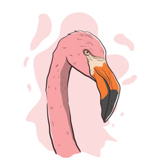 Aesthetic Pink Flamingo head, close up vector illustration of a flamingo bird face, isolated on abstract background