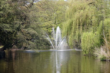 Naklejka premium Springbrunnen im Dreieichpark in Offenbach
