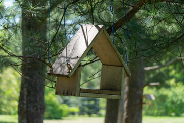 Bird feeder hanging in the park on a tree