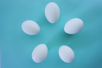 ニワトリのたまご