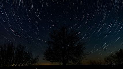 Star trails in the night sky above the silhouette of a tree