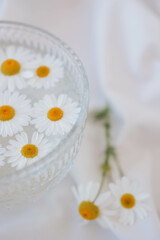 Fototapeta na wymiar Chamomile flowers in a glass bowl on white fabric background