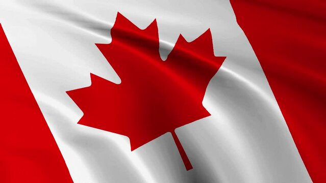 Canada flag waving in the wind. 4K video.