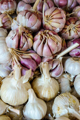 heads of garlic in the market, Fez, morocco, africa