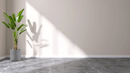 Blank clean white wall, green tropical banana tree in concrete pot on gray granite floor, baseboard in sunlight for luxury interior design decoration, home appliance product background 3D