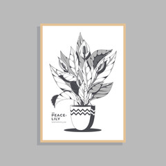 hand drawn lily flower poster template
