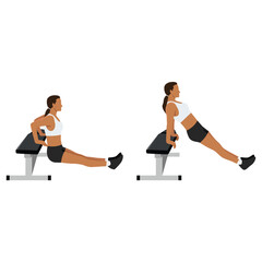 Woman doing bench tricep dips exercise. Flat vector