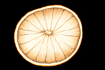 ai-generated, illustration of a juicy orange