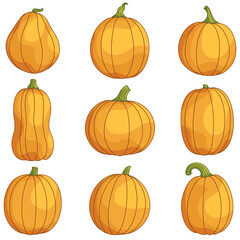 Collection of orange pumpkins for Halloween, Thanksgiving, Harvest Festival. Set of cute pumpkins of different shapes and sizes. Cartoon illustrations for holiday decor. Clipart for card, poster.