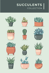 tiny succulent plant collection set