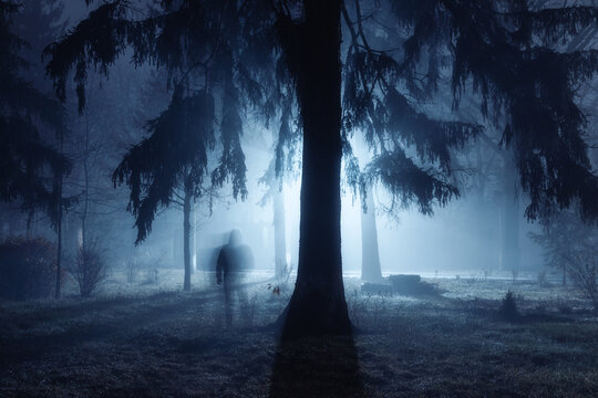 A strange silhouette in a dark spooky forest at night. Human silhouette in surreal spooky forest at night, halloween horror concept. Fog in the moonlight.