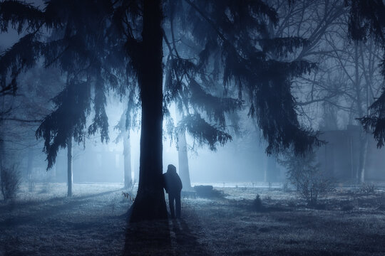 A strange silhouette of a man in a mystical fog in a dark spooky forest. Silhouette of a man standing in a dark forest with light. halloween horror concept. Fog in the moonlight.