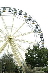 ferris wheel in the park