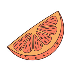 Slice of orange fruit. Hand drawn illustration in doodle style.