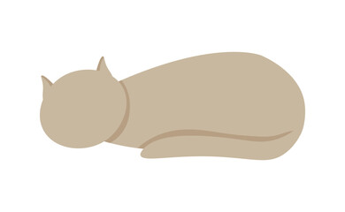 The cat is sleeping. Vector illustration of a sleeping cat