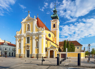 Fototapeta na wymiar Gyor - The Carmelite Church is one of the most important historic churches of the city.Hungary