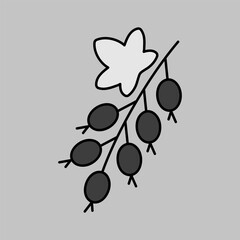 Currant berry isolated design vector icon