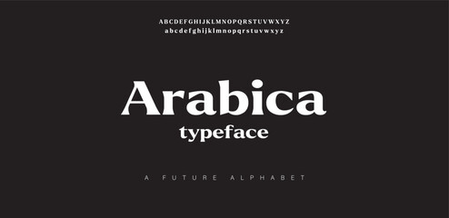 Elegant classic alphabet letters font and number. serif typeface alphabet set