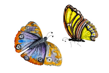 Delicate hand-painted watercolor butterfly. The illustration was created in watercolor. Butterflies in bright colors