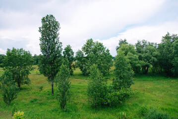 Fresh green field with grass and blue sky a cloudy day. spring and summer landscape. Beauty of nature is around us.	
