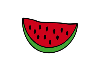 vector colorful watermelon melon fruit plant illustration design