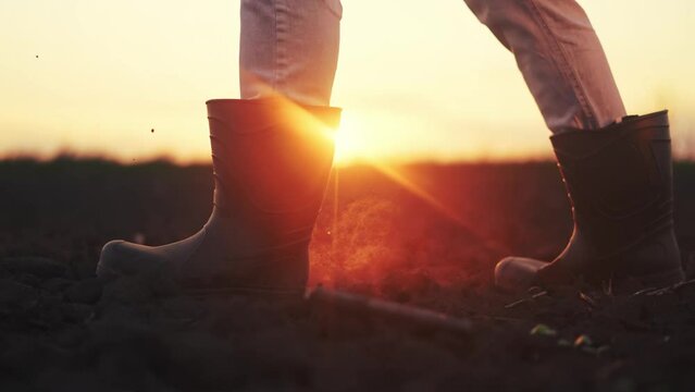 agriculture. farmer legs in rubber a boots close-up walks on the soil of arable land at sunset. agriculture business concept. close-up farmer legs in boots walk going to lifestyle work