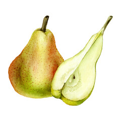 Collection of hand drawn watercolor yellow pears isolated on white background