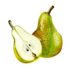 Collection of hand drawn watercolor yellow pears isolated on white background