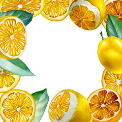 Lemon. Botanical watercolor isolated illustration.