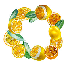 Lemon. Botanical watercolor isolated illustration.