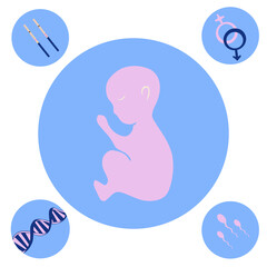 Vector isolated illustration of pregnancy planning. Pregnancy icons. Preparation for motherhood. DNA test. Study of parents' genes. Embryo.