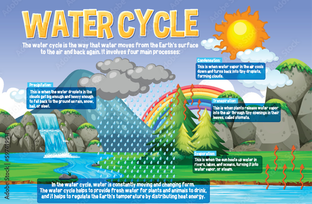 Wall mural Water Cycle for Science Education