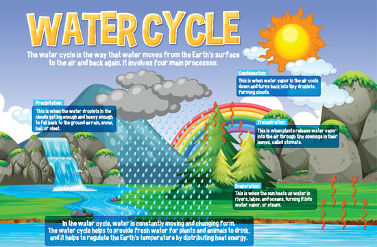 Water Cycle For Science Education