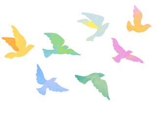 鳥の群れ,イラスト,あしらい