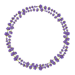 Frame round bunch lavender flowers. Floral aquarelle bouquet. Eco natural herbs. Watercolor illustration isolated on white background. For creating invitations, greeting and wedding cards