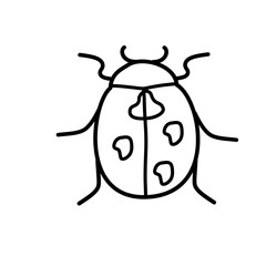 insect icon