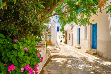 Cosy summer streets of Greek town, white houses, lush foliage