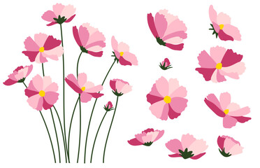 Obraz premium Daisy flower background.Eps 10 vector.