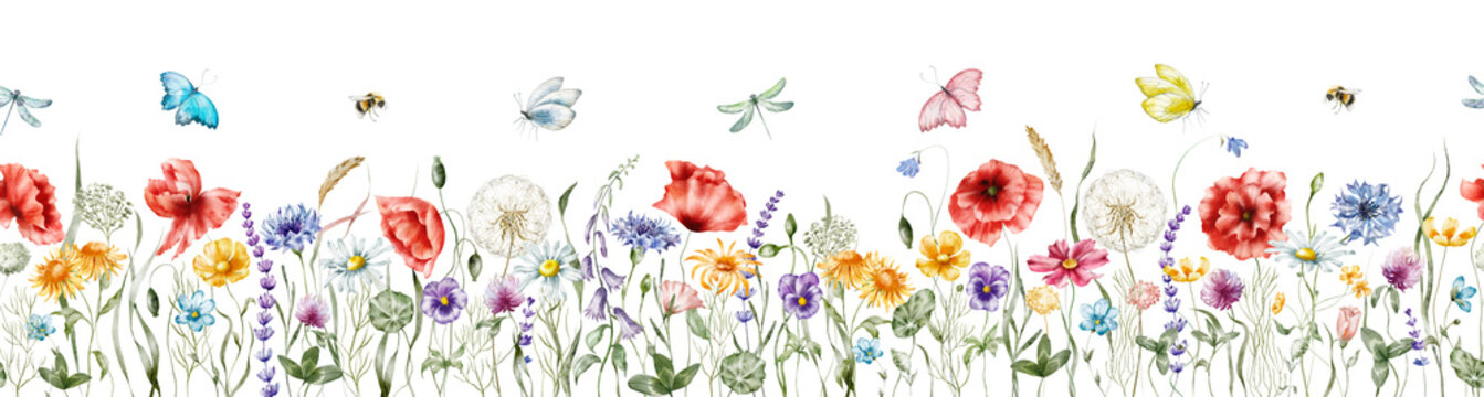 Watercolor floral seamless border &ndash; Wildflowers: summer flower, blossom, poppies, chamomile, dandelions, cornflowers, lavender, violet, bluebell, clover, buttercup, butterfly.