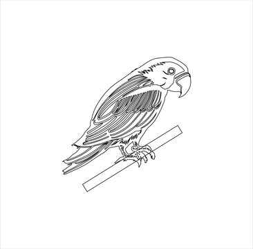 recommend clip art: A beautiful parrot vector line art