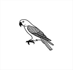 A cute parrot vector line art work.