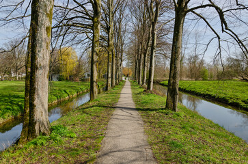 Fototapeta na wymiar Straight gravel footpath with on aboth sides a row of trees, a ditch and a meadow, near Rhoon, The Netherlands